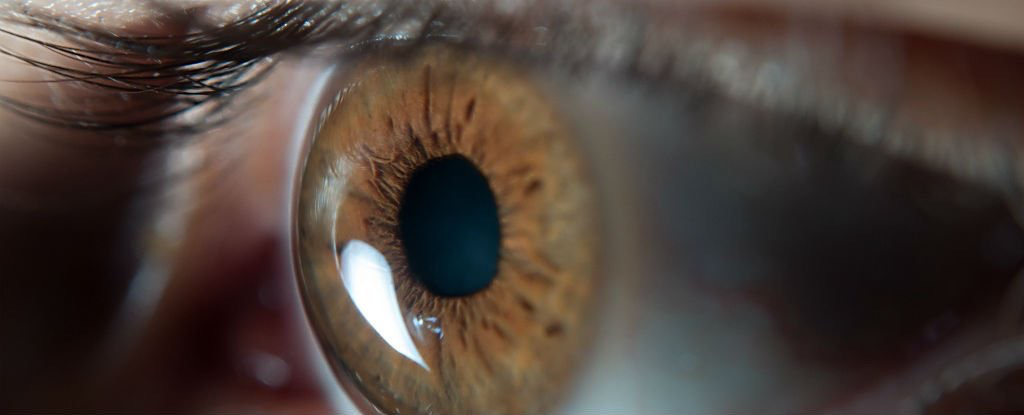 15319919673112564TkE.png 圖片37.png