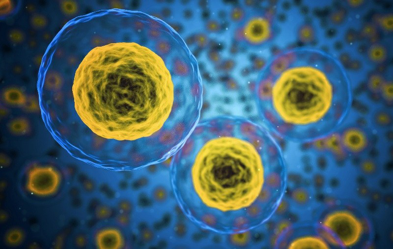 1532045358246756CtAG.png 圖片5.png