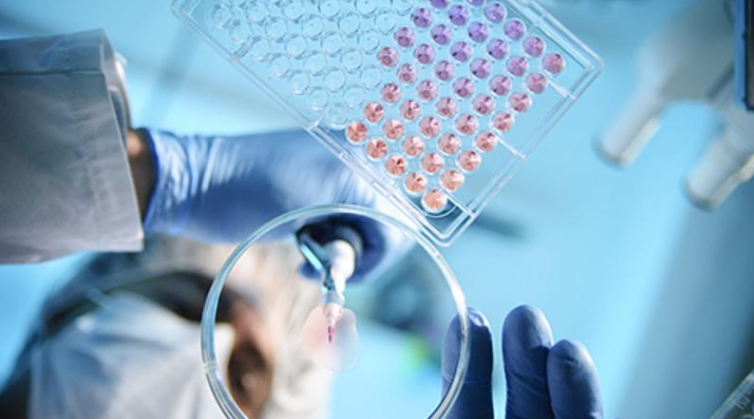 1532045724434483Ijx6.png 圖片15.png