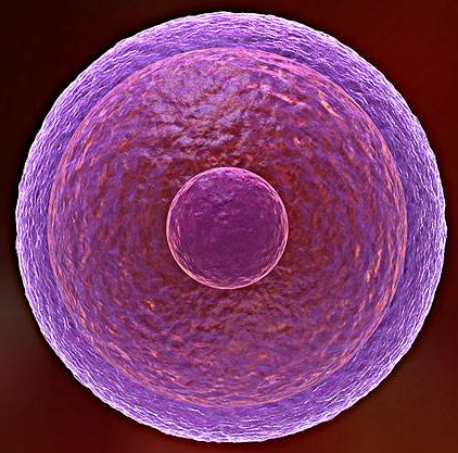 1532048466894063Xps8.png 圖片52.png